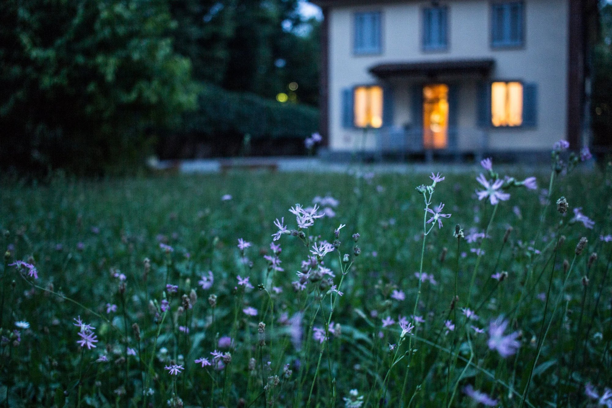 Home Insurance